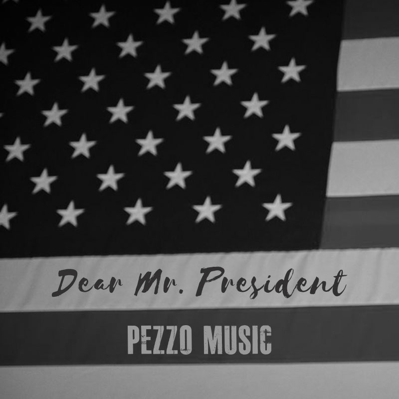 Dear Mr. President - P!nk (Acoustic Cover - Pezzo Music)